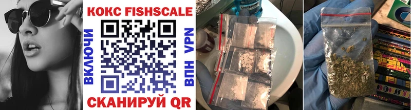 Купить где  Елец  COCAIN Fish Scale 