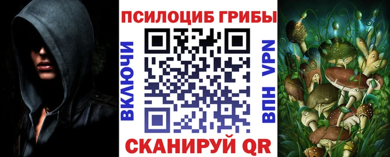 Купить где  Елец  Галлюциногенные грибы мухоморы 